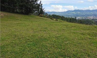 Venta Lote Independiente en La Ceja Chaparral