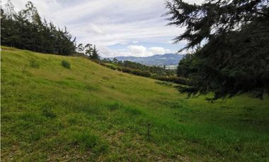 Venta Lote Independiente en La Ceja Chaparral