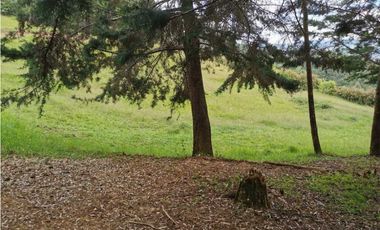 Venta Lote Independiente en La Ceja Chaparral