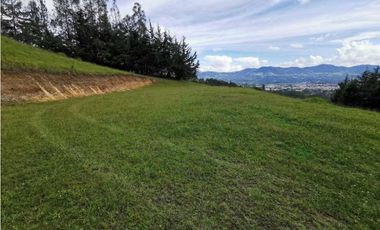 Venta Lote Independiente en La Ceja Chaparral