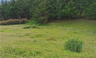 Venta Lote Independiente en La Ceja Chaparral