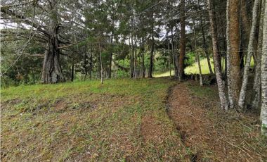 Venta Lote Independiente en La Ceja Chaparral