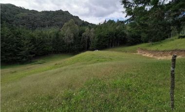 Venta Lote Independiente en La Ceja Chaparral