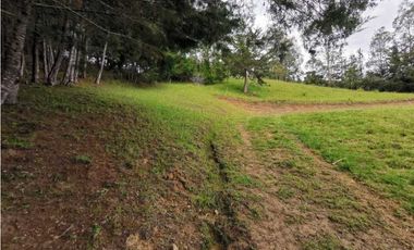 Venta Lote Independiente en La Ceja Chaparral