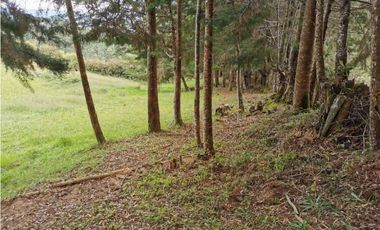 Venta Lote Independiente en La Ceja Chaparral