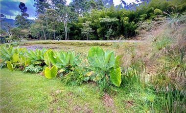 Lote Parcelacion Llanogrande (Rionegro)