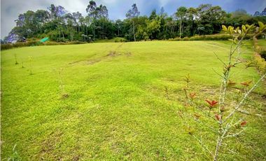 Lote Parcelacion Llanogrande (Rionegro)