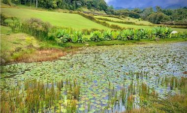 Lote Parcelacion Llanogrande (Rionegro)