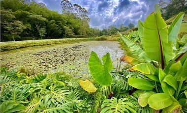 Lote Parcelacion Llanogrande (Rionegro)