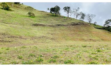 Venta Lote Exotica Vista Parcelacion Alto Palmas