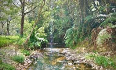Venta Lote Exotica Vista Parcelacion Alto Palmas