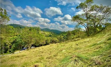 Venta Lote Exotica Vista Parcelacion Alto Palmas