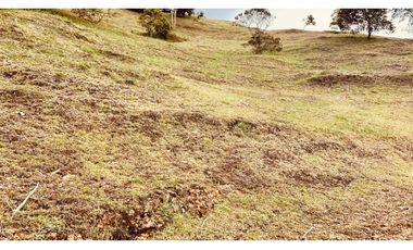 Venta Lote Exotica Vista Parcelacion Alto Palmas