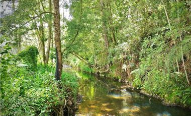 Venta Lote Exotica Vista Parcelacion Alto Palmas
