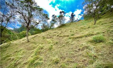 Venta Lote Exotica Vista Parcelacion Alto Palmas