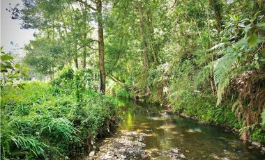 Venta Lote Exotica Vista Parcelacion Alto Palmas