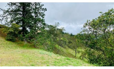Venta Lote Exotica Vista Parcelacion Alto Palmas