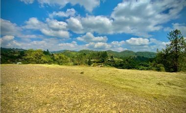 Venta Lote Exotica Vista Parcelacion Alto Palmas