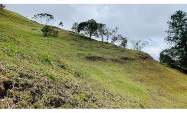 Venta Lote Exotica Vista Parcelacion Alto Palmas