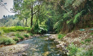 Venta Lote Exotica Vista Parcelacion Alto Palmas
