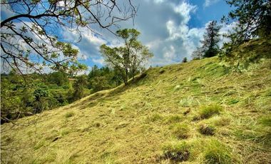 Venta Lote Exotica Vista Parcelacion Alto Palmas
