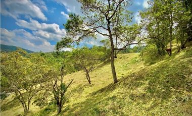 Venta Lote Exotica Vista Parcelacion Alto Palmas