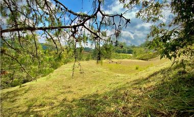 Venta Lote Exotica Vista Parcelacion Alto Palmas
