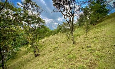 Venta Lote Exotica Vista Parcelacion Alto Palmas