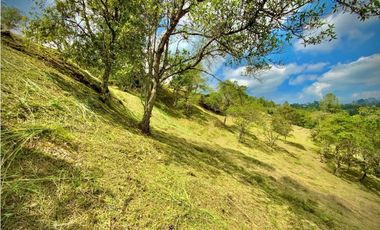 Venta Lote Exotica Vista Parcelacion Alto Palmas