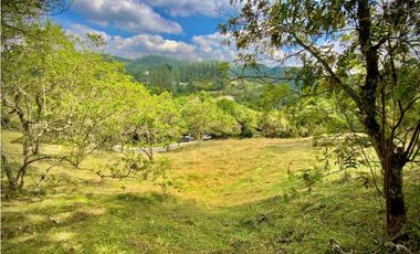 Venta Lote Exotica Vista Parcelacion Alto Palmas