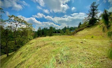 Venta Lote Exotica Vista Parcelacion Alto Palmas