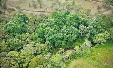 Venta Lote Exotica Vista Parcelacion Alto Palmas