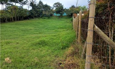 Lotes Independientes en La Ceja