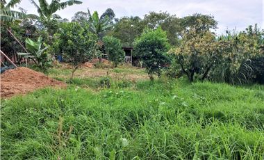 Lotes Independientes en La Ceja