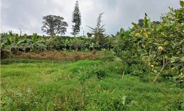 Lotes Independientes en La Ceja