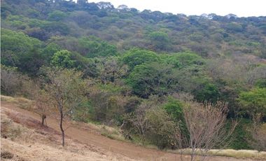 LOTE SAN JERONIMO SOPETRAN OPERACION HOTELERA