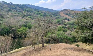 LOTE SAN JERONIMO SOPETRAN OPERACION HOTELERA