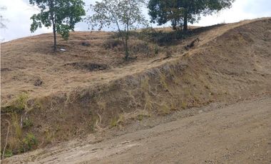 LOTE SAN JERONIMO SOPETRAN OPERACION HOTELERA