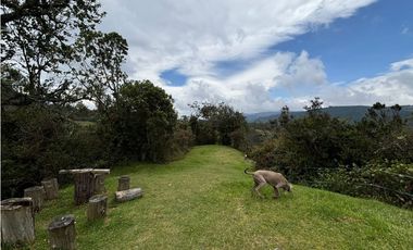 Venta casa en el verjon Chapinero a puerta cerrada