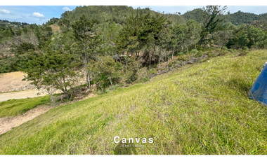 Lote en Parcelación Vía Don Diego - La Ceja