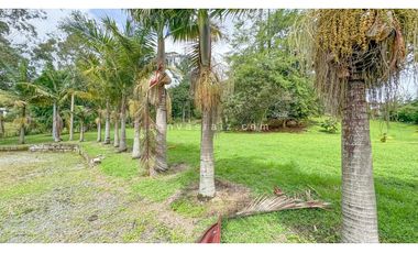 Venta de Lote El Carmnen de Viboral