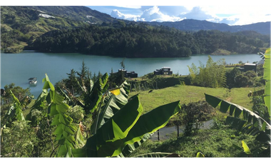 LOTE EN VENTA GUATAPE ANTIOQUIA