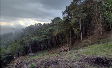 LOTE EN VENTA EN LA CATEDRAL VEREDA LA MIEL