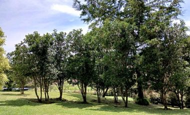Venta casa en Llanogrande oriente atioqueño