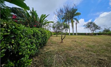 Venta Lote Vereda la Popa Via tebaida
