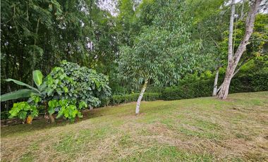 Venta Lote Vereda la Popa Via tebaida