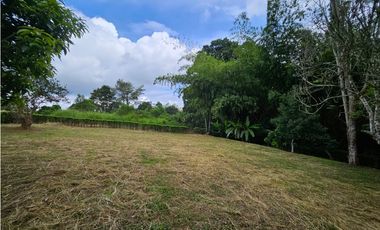 Venta Lote Vereda la Popa Via tebaida