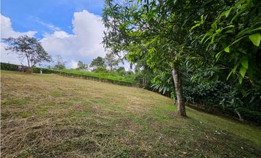 Venta Lote Vereda la Popa Via tebaida
