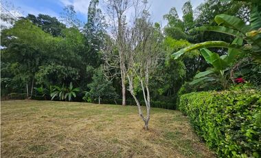 Venta Lote Vereda la Popa Via tebaida