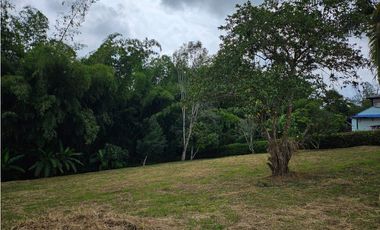 Venta Lote Vereda la Popa Via tebaida